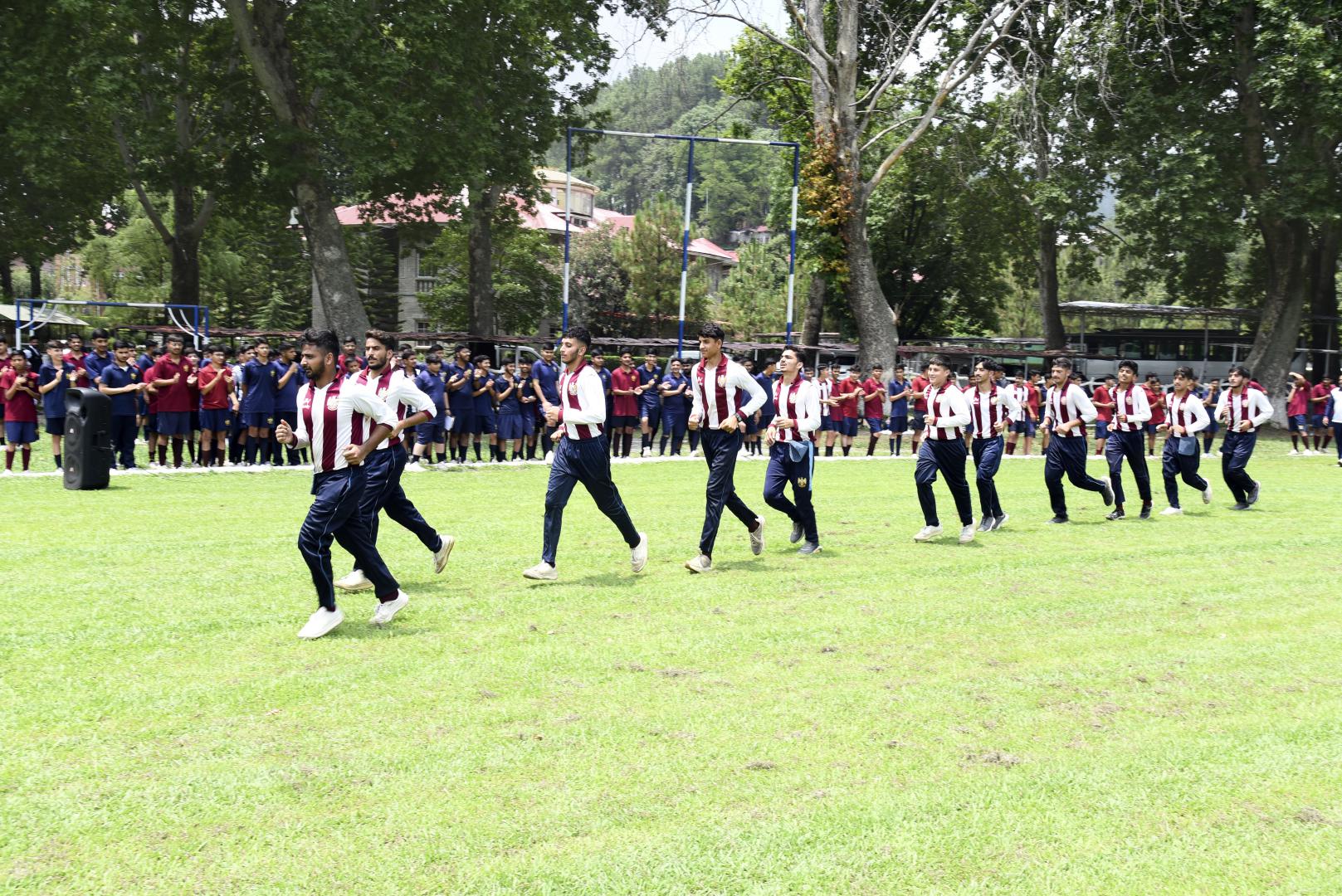 6/30/2025 3:46:44 PM